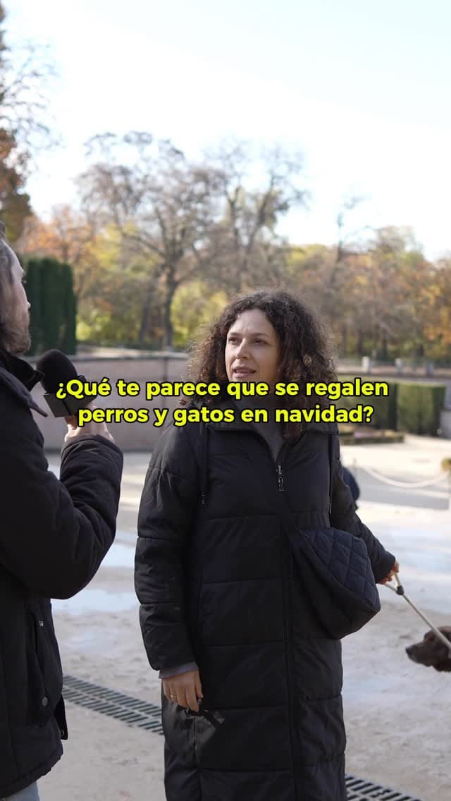 Post 5 by LOBITOS&CO ®️ on Instagram (video)