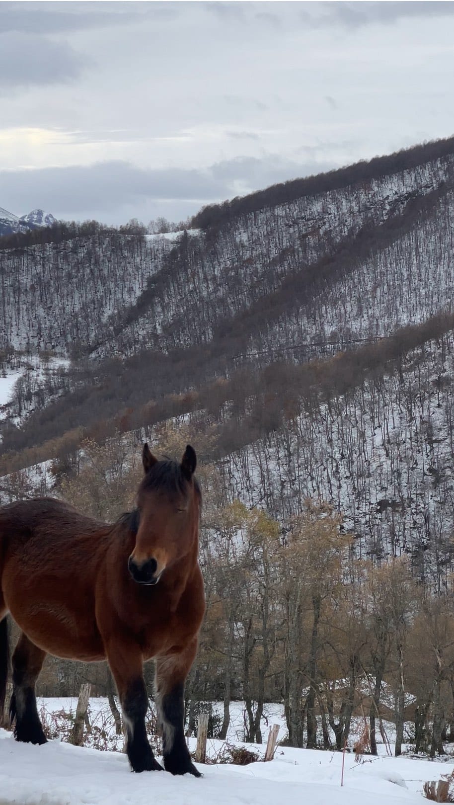 Post 6 by Andrea Bazaga on Instagram (video)