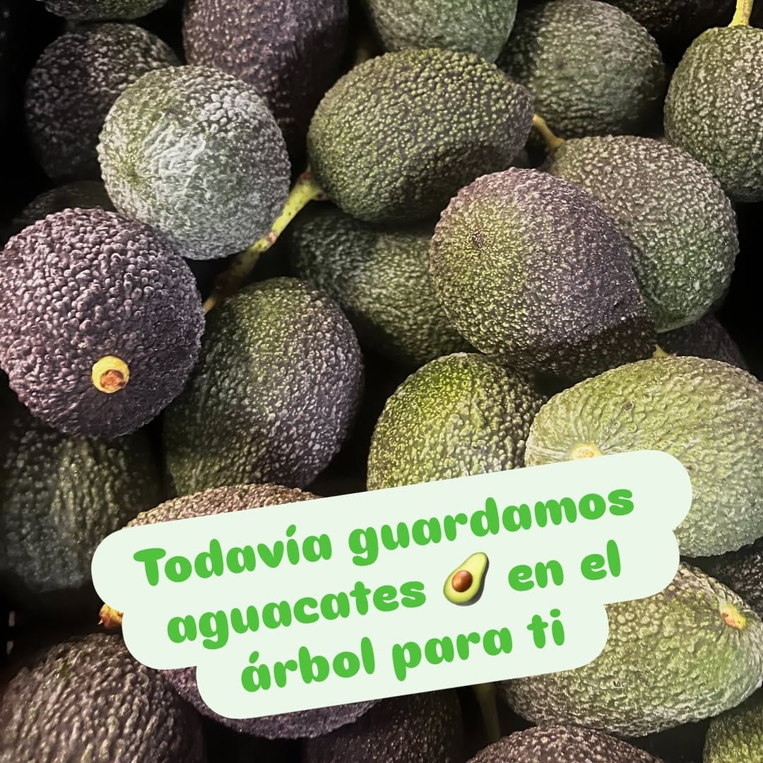 Post 2 by HuertaTropical on Instagram (image)