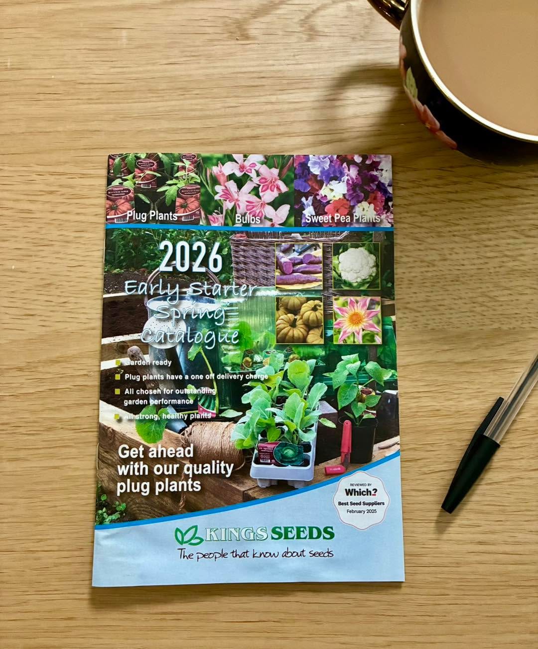 Post 2 by Kings Seeds Ltd on Instagram (image)
