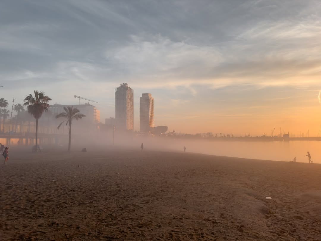 Post 2 by Manel Ferrando on Instagram (image)