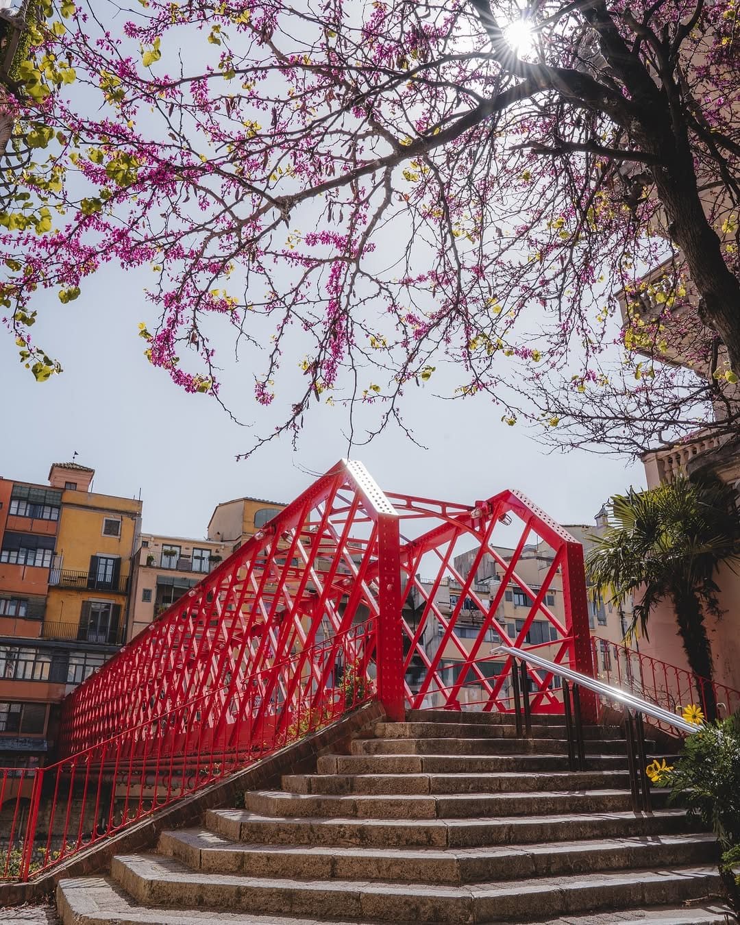 Post 1 by Manel Ferrando on Instagram (image)