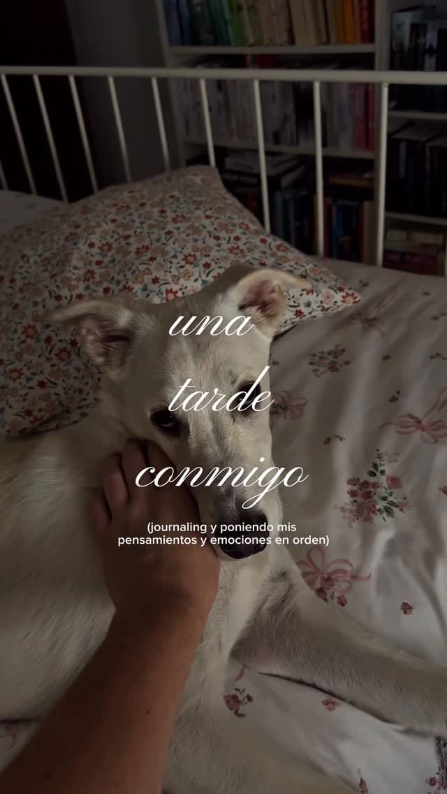 Post 9 by Carolina Lurose 🌙 on Instagram (video)