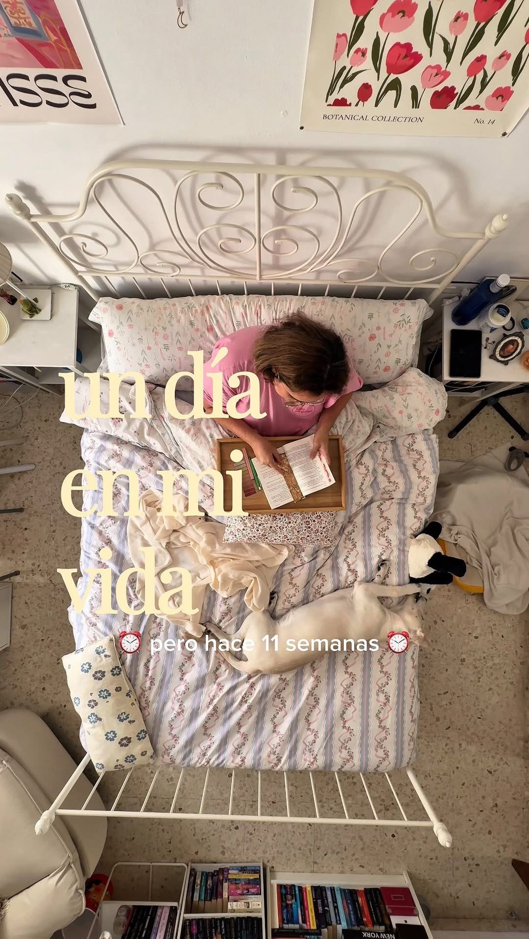 Post 4 by Carolina Lurose 🌙 on Instagram (video)