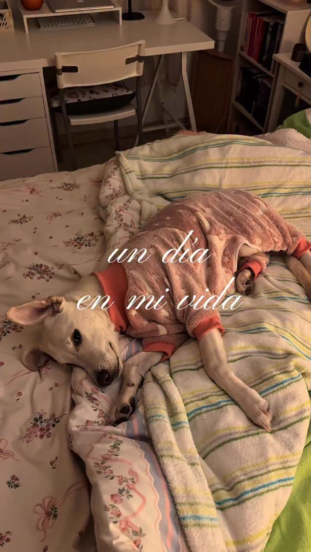 Post 2 by Carolina Lurose 🌙 on Instagram (video)