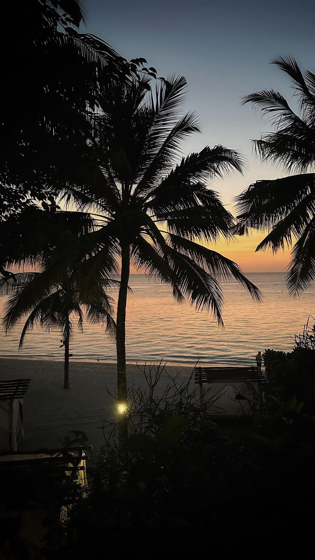 Post 10 by Vanessa Leache on Instagram (video)