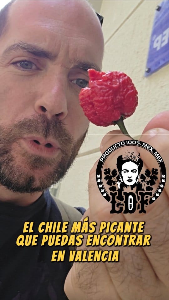 Post 7 by 🥑 La Despensa de Frida 🌶 on Instagram (video)
