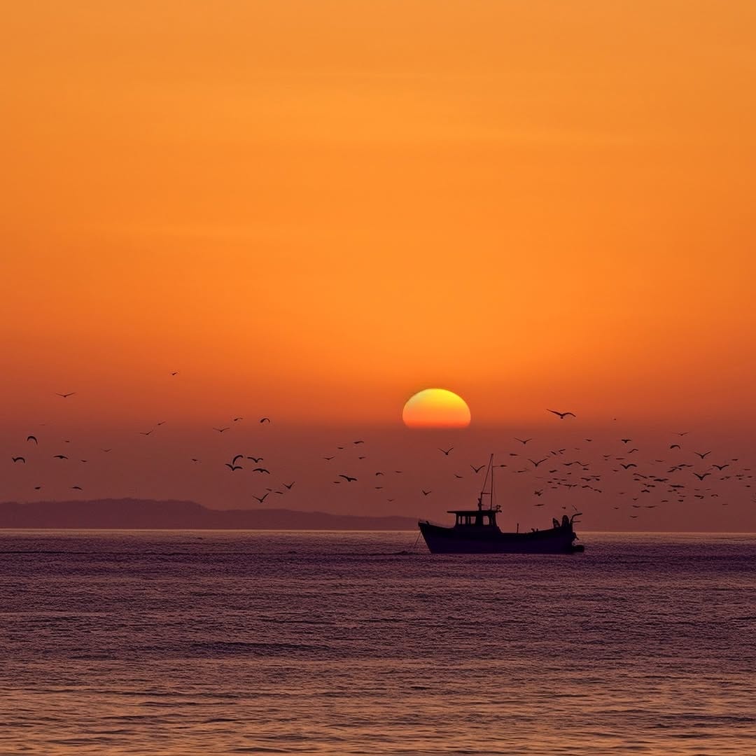 Post 2 by Essential Marbella Magazine on Instagram (image)