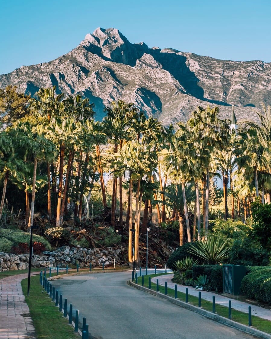 Post 4 by The ultimate Marbella Guide! on Instagram (carousel)