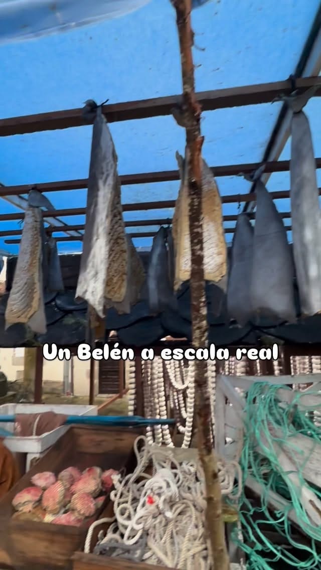 Post 5 by Elrincon DeNina on Instagram (video)