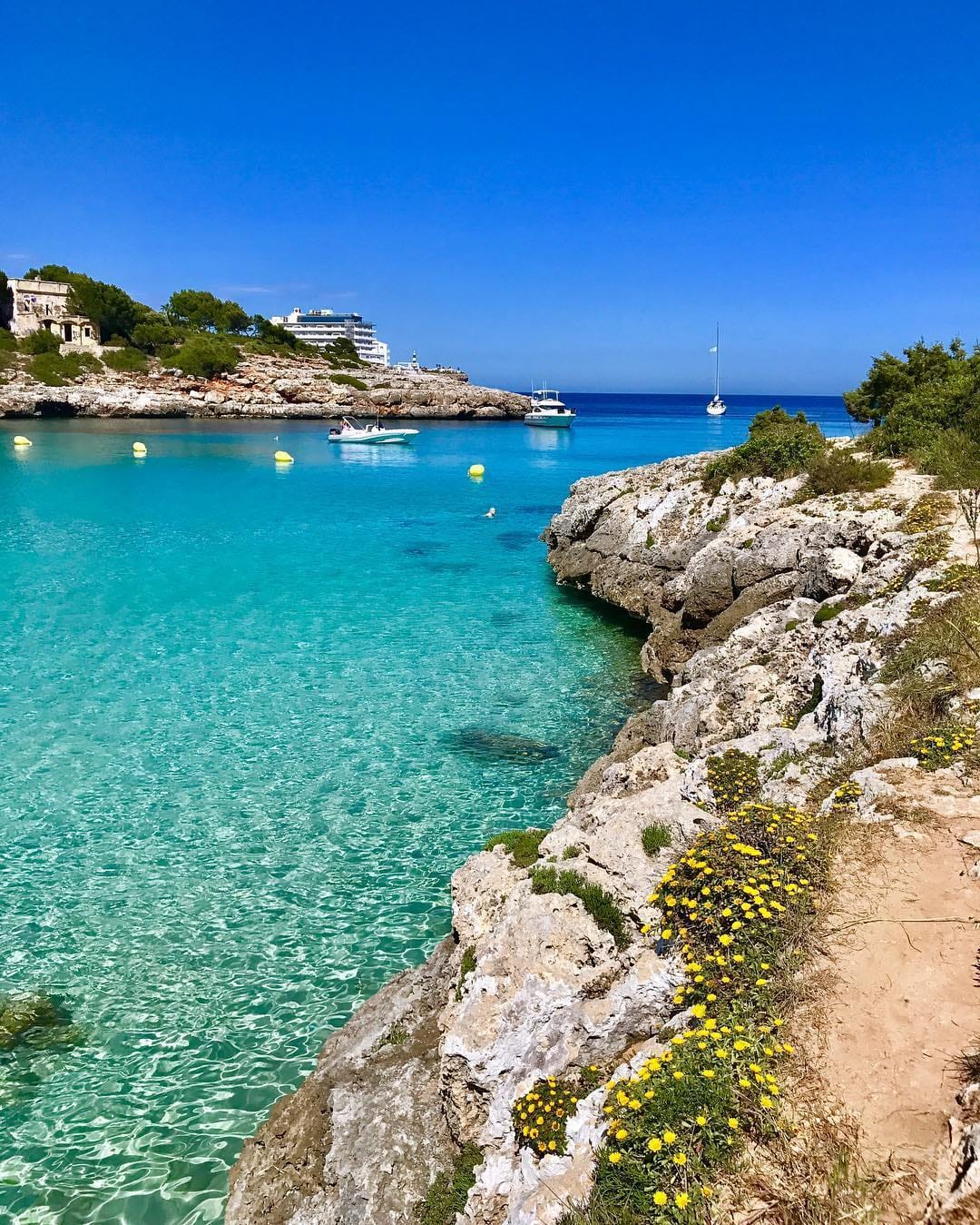 Post 9 by Mallorca Luxury Lifestyle on Instagram (image)