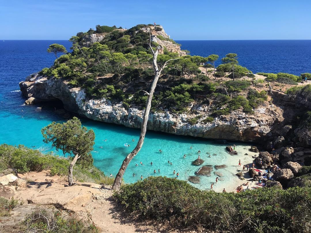 Post 6 by Mallorca Luxury Lifestyle on Instagram (image)