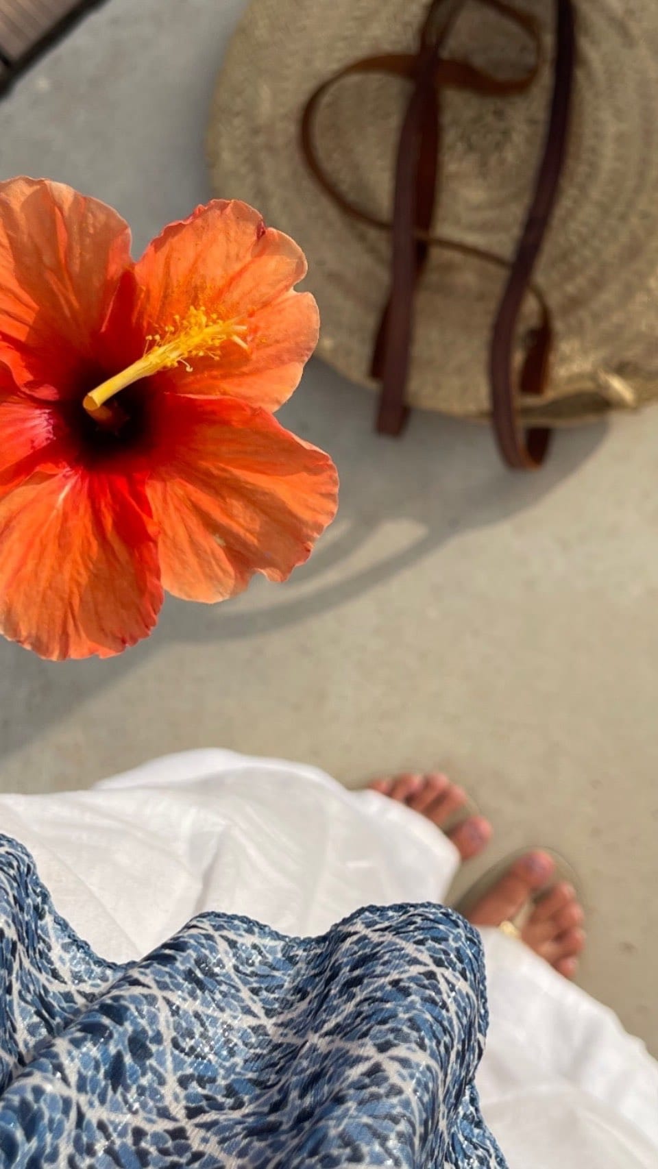 Post 7 by ᴄ ʟ ᴀ ᴜ 🦋 on Instagram (video)