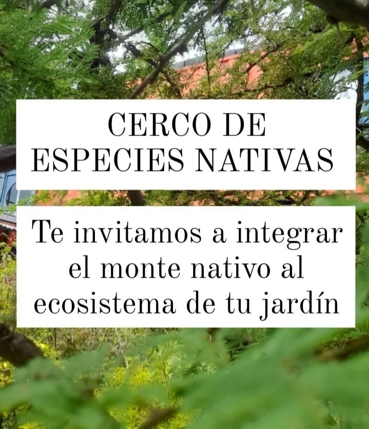 Post 10 by Fábrica de Plantas Mendiolaza on Instagram (carousel)