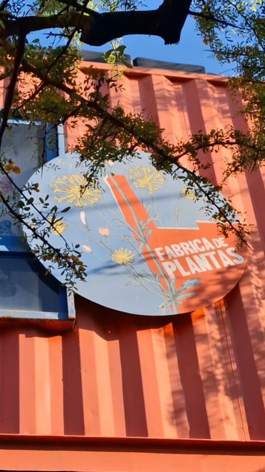 Post 7 by Fábrica de Plantas Mendiolaza on Instagram (video)
