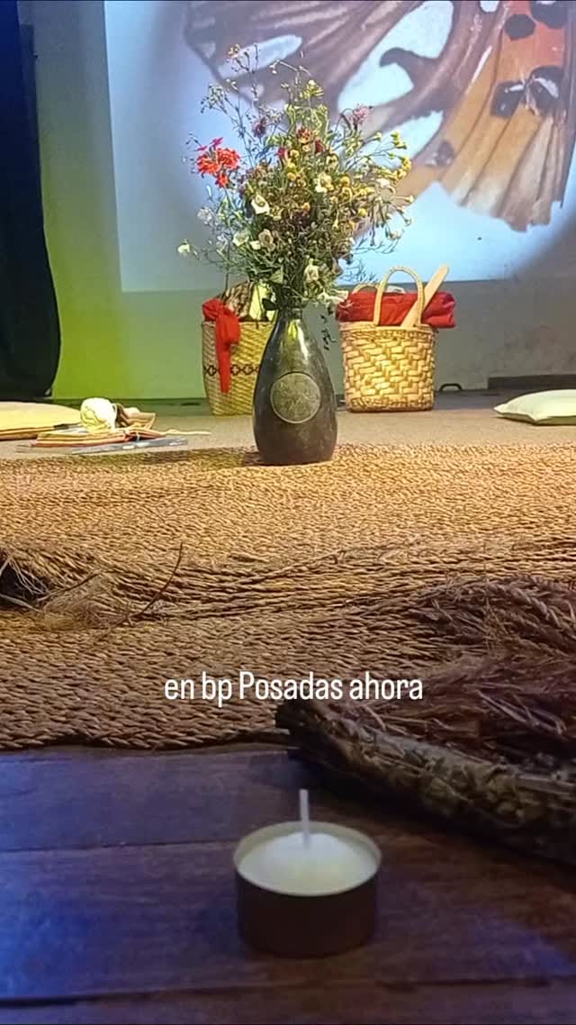 Post 6 by Fábrica de Plantas Mendiolaza on Instagram (video)