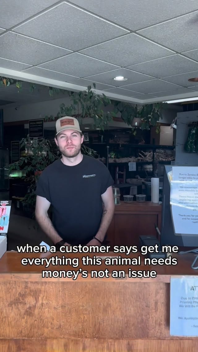 Post 4 by SnakeMuseum.com on Instagram (video)