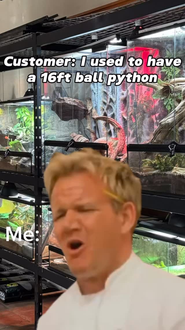 Post 9 by SnakeMuseum.com on Instagram (video)