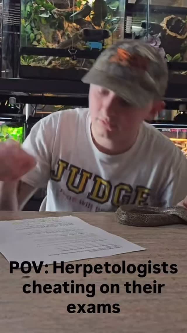 Post 3 by SnakeMuseum.com on Instagram (video)