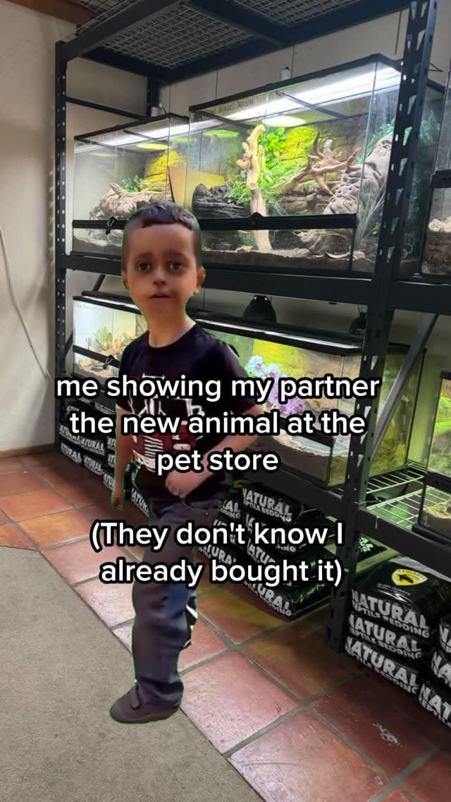 Post 2 by SnakeMuseum.com on Instagram (video)