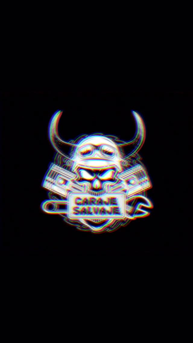 Post 1 by Garaje Salvaje on Instagram (video)