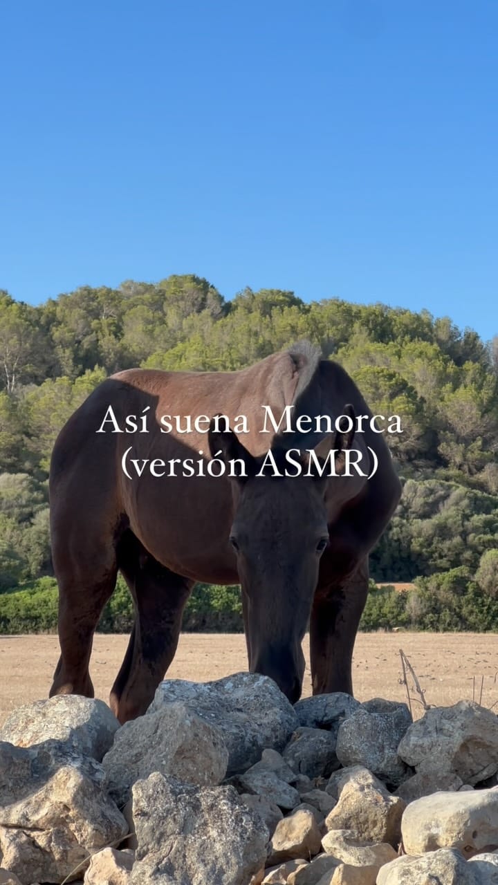 Post 9 by MXT | Experiencias en Menorca on Instagram (video)
