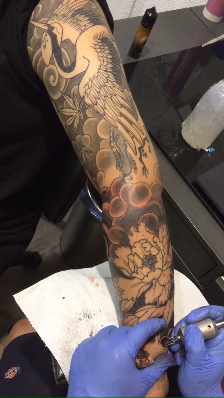 Post 10 by Jose Nezumi on Instagram (video)