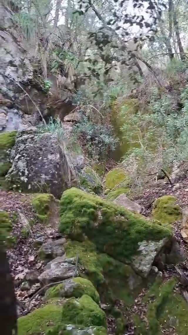 Post 2 by Gaia Natural Products on Instagram (video)