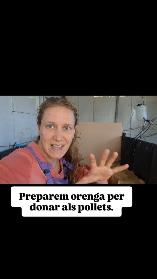 Post 8 by Debosc on Instagram (video)