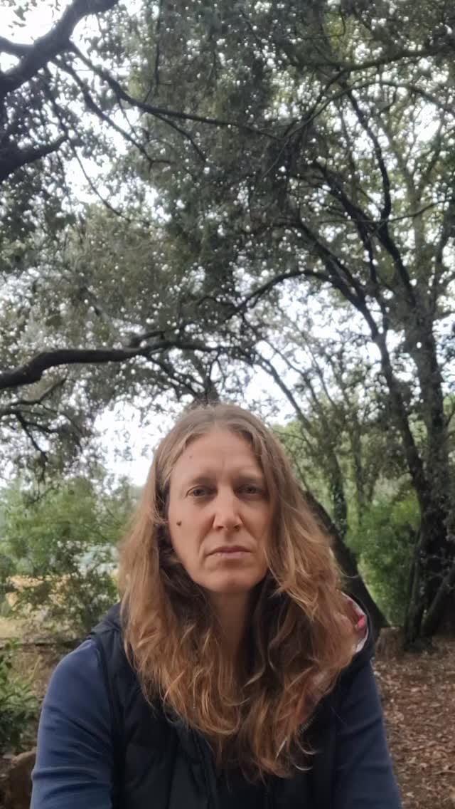 Post 4 by Debosc on Instagram (video)