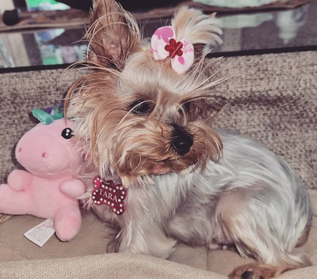 Post 10 by Granada Perez 🎀 on Instagram (image)