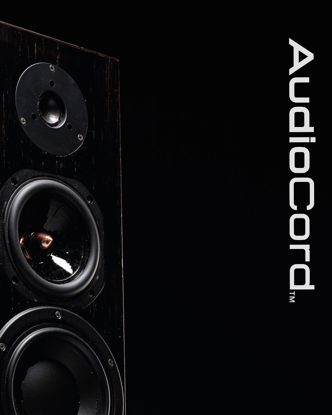 Post 3 by AUDIOCORD on Instagram (carousel)