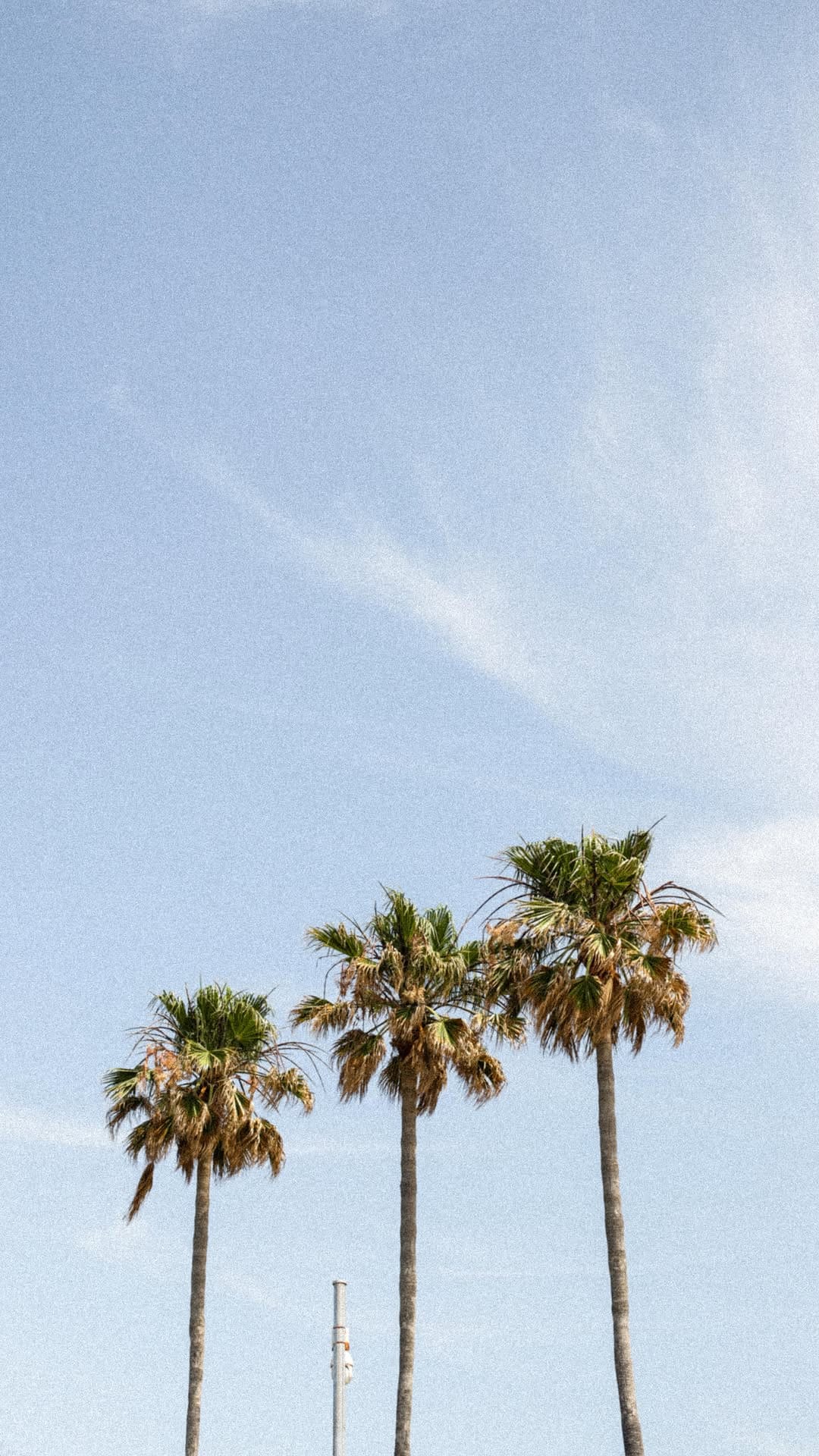 Post 5 by Marta Dávila Mateu on Instagram (video)
