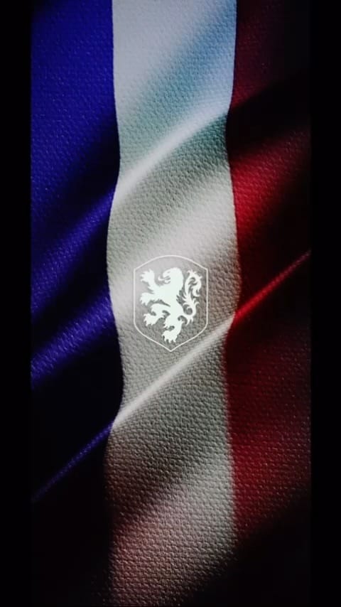 Post 8 by Bartina Koeman on Instagram (video)