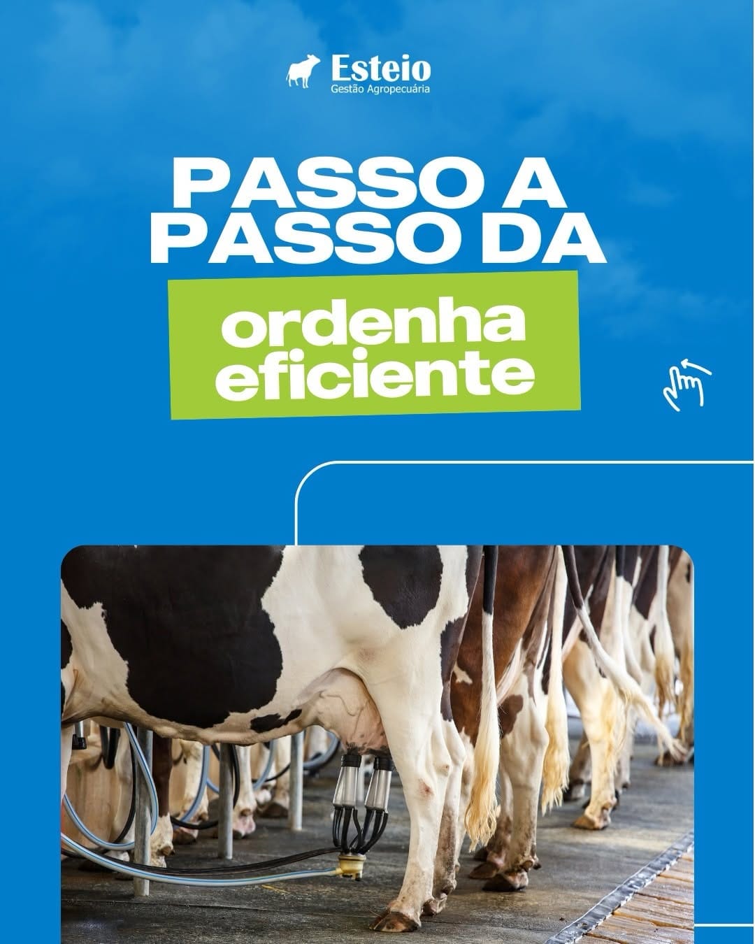 Post 1 by Esteio Gestão Agropecuária 🐄🐂 on Instagram (carousel)