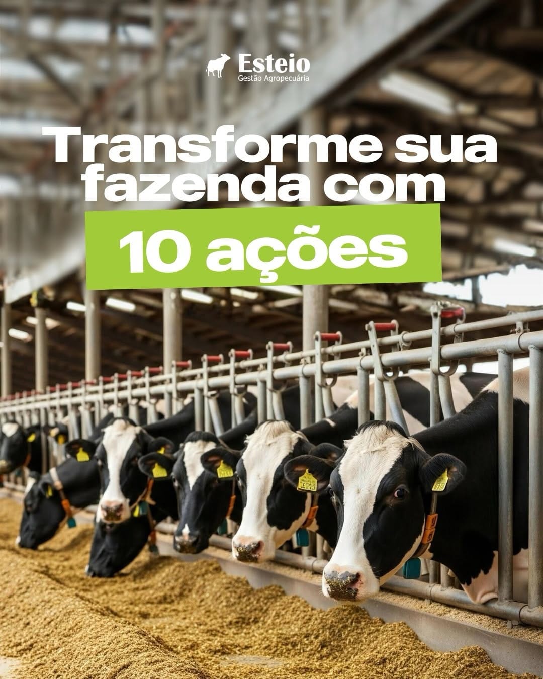Post 9 by Esteio Gestão Agropecuária 🐄🐂 on Instagram (carousel)