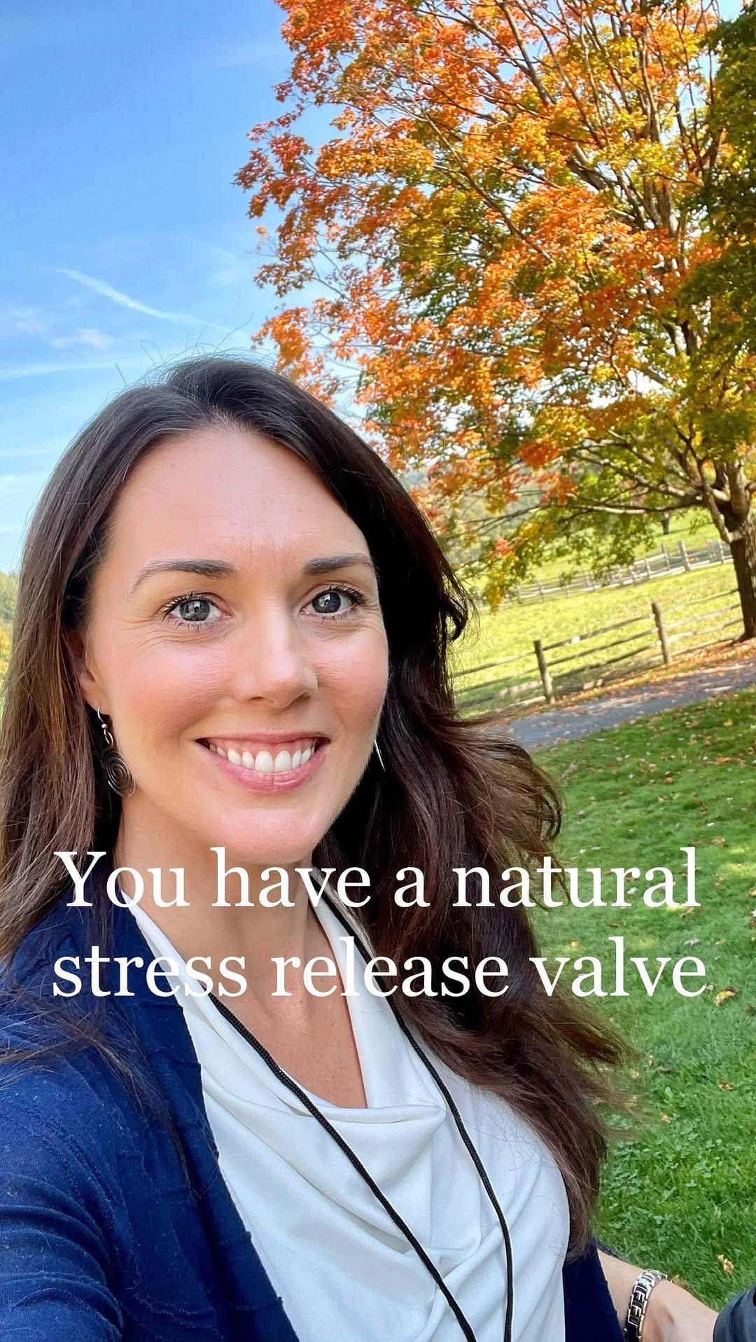 Post 9 by Stress Resilience | Self-Leadership | TRE® on Instagram (video)