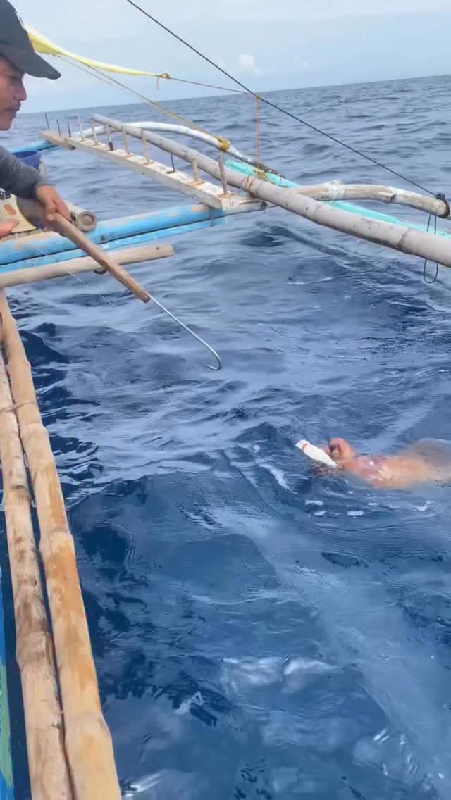 Post 6 by Juan luis Vera | JLP on Instagram (video)