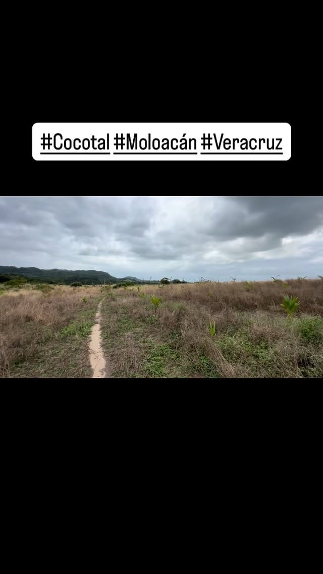 Post 4 by Mario Alberto Torres Escudero on Instagram (video)