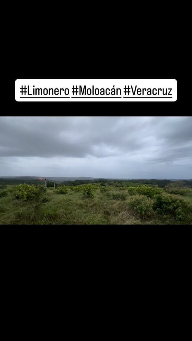 Post 3 by Mario Alberto Torres Escudero on Instagram (video)
