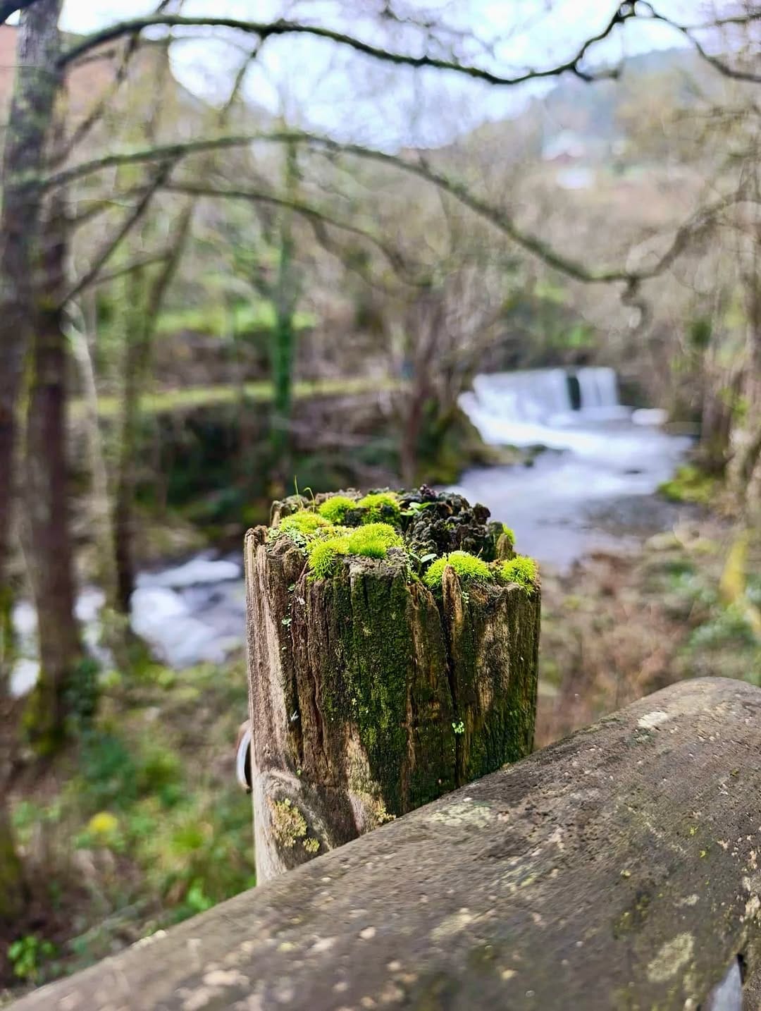 Post 2 by Nicky Lou 🧘 Mindful Vlogger on Instagram (carousel)