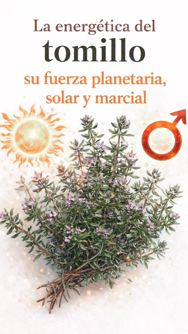 Post 1 by AIYA_Instituto Yoga Y Ayurveda on Instagram (video)