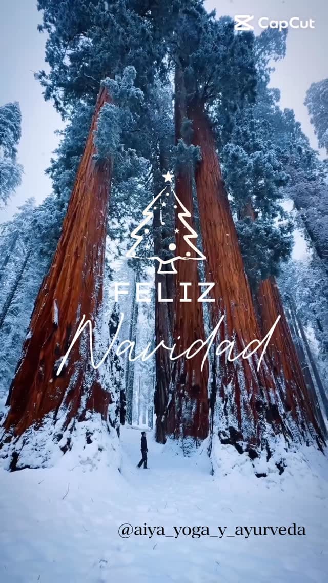 Post 6 by AIYA_Instituto Yoga Y Ayurveda on Instagram (video)