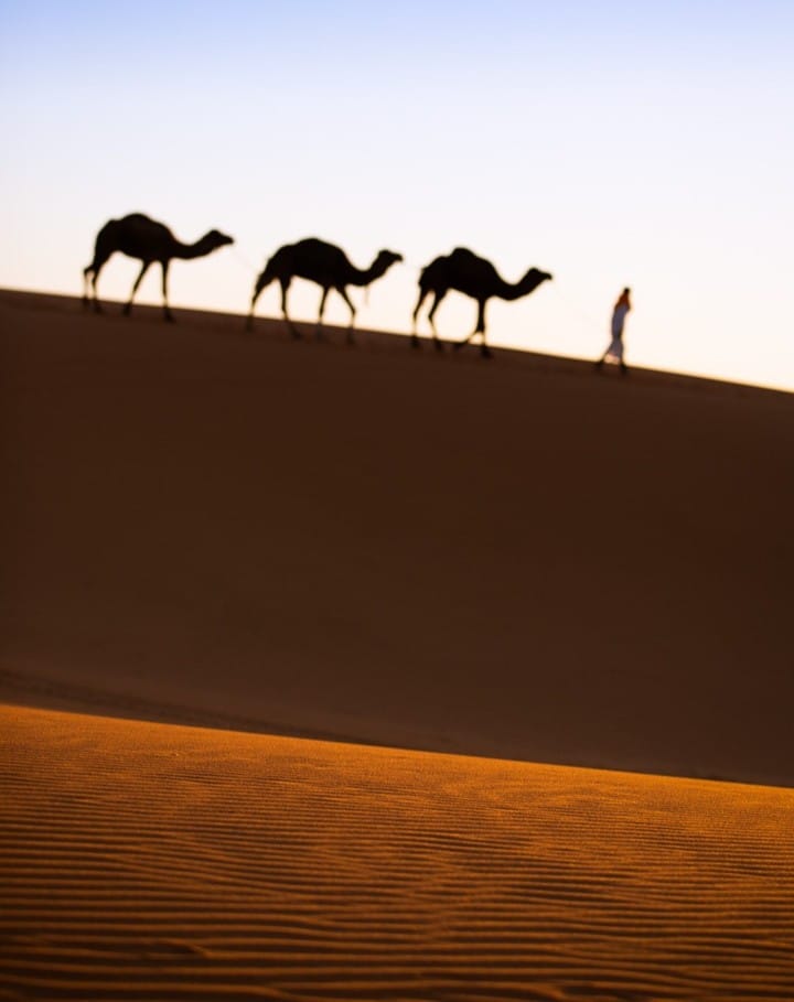 Post 9 by Daniel N. on Instagram (image)