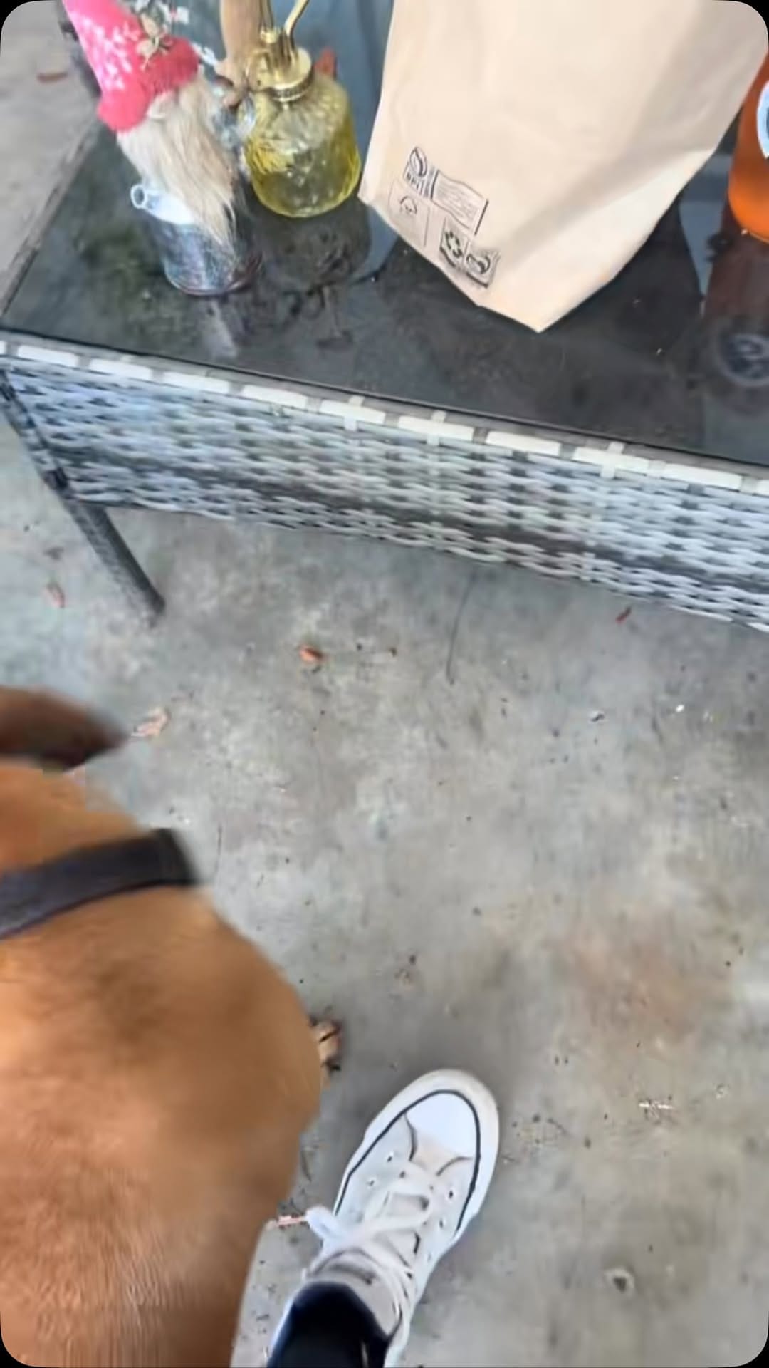 Post 1 by Ash Eileen Trippe on Instagram (video)