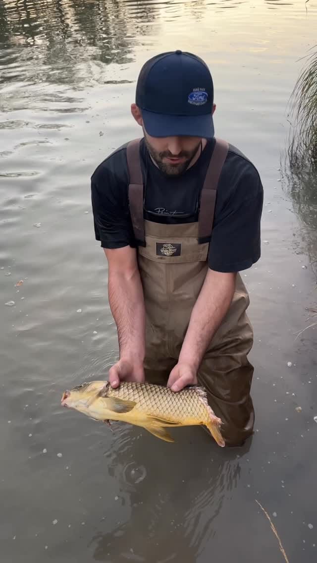 Post 3 by WILLIAM TACKETT on Instagram (video)