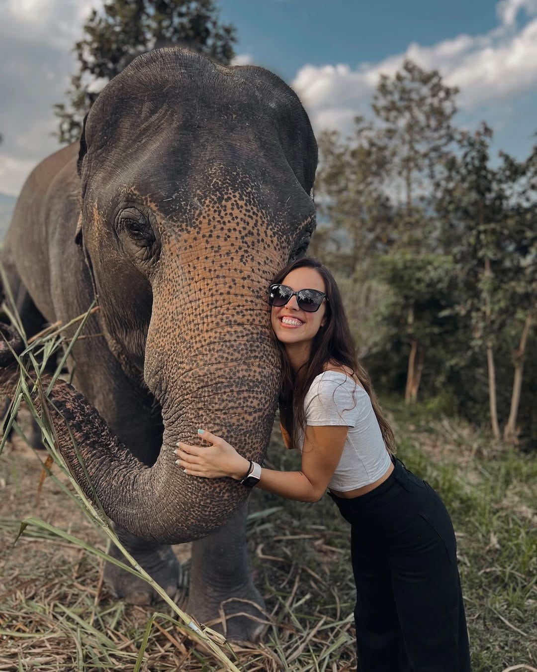Post 8 by Mònica Martínez Gibert 🦁 on Instagram (carousel)