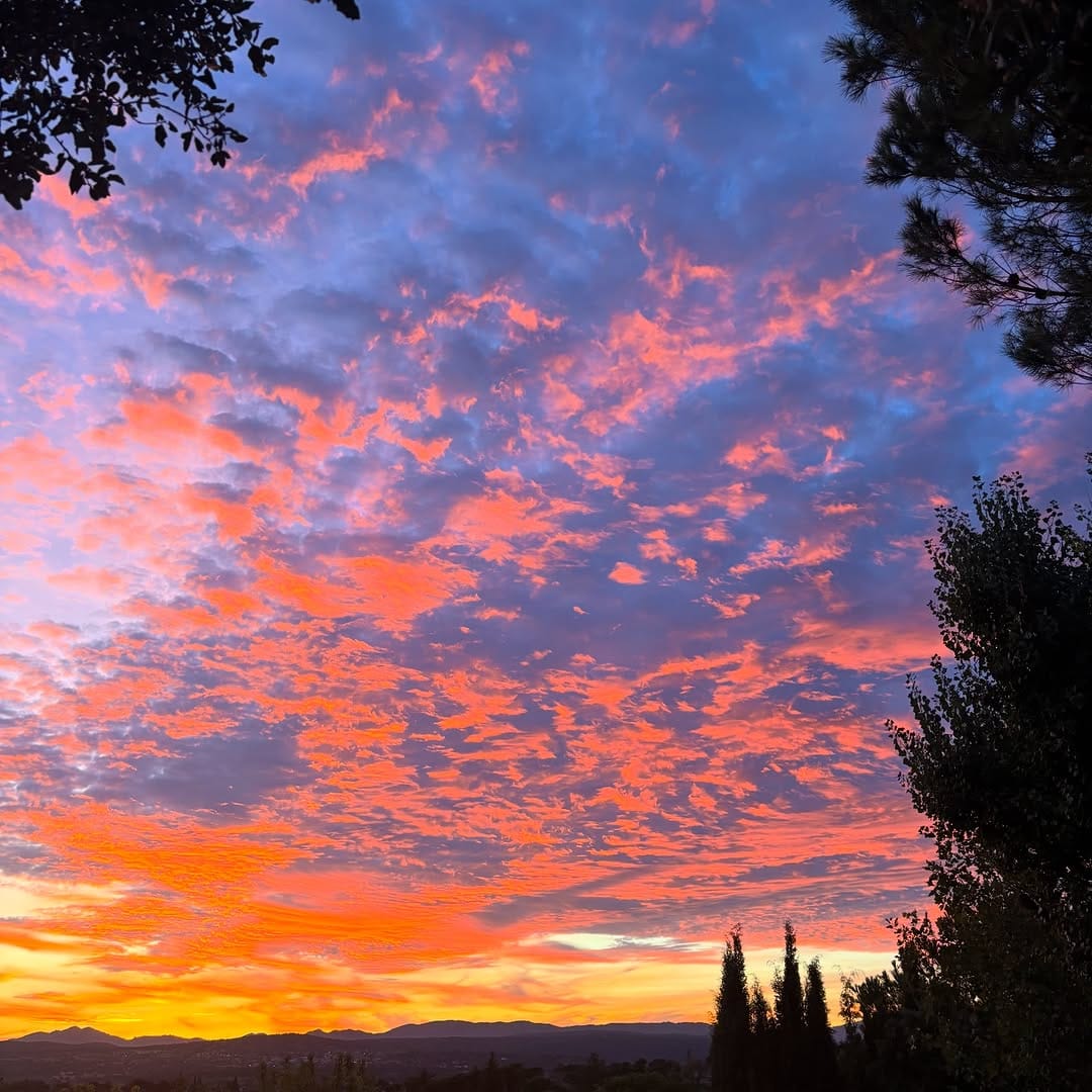 Post 3 by ▪️Esther▪️ on Instagram (image)