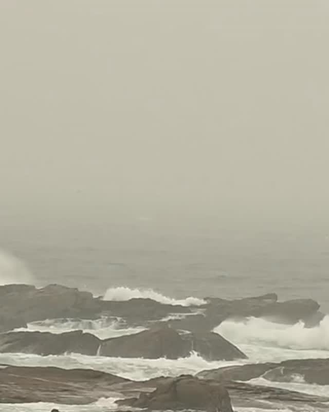 Post 5 by Ara Margano on Instagram (video)