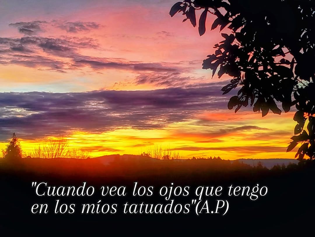 Post 8 by Ara Margano on Instagram (image)